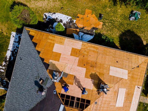 Best Metal Roofing Contractor  in Chapel Hill, NC