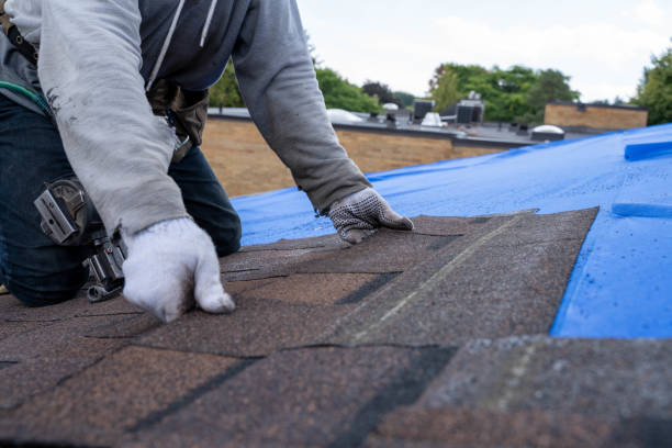 Best Storm Damage Roof Repair  in Chapel Hill, NC