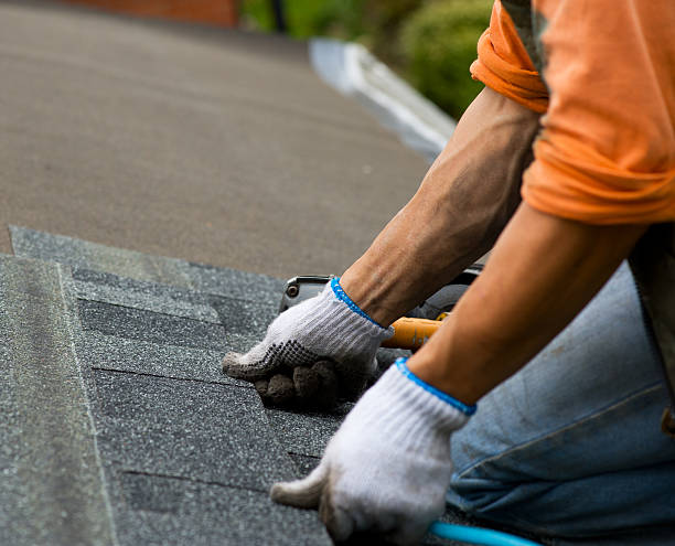 Roof Gutter Cleaning in Chapel Hill, NC